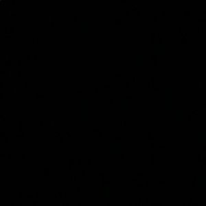 Meet your Posher, Sebastian